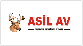 Maecenas dictum, dui in metus.